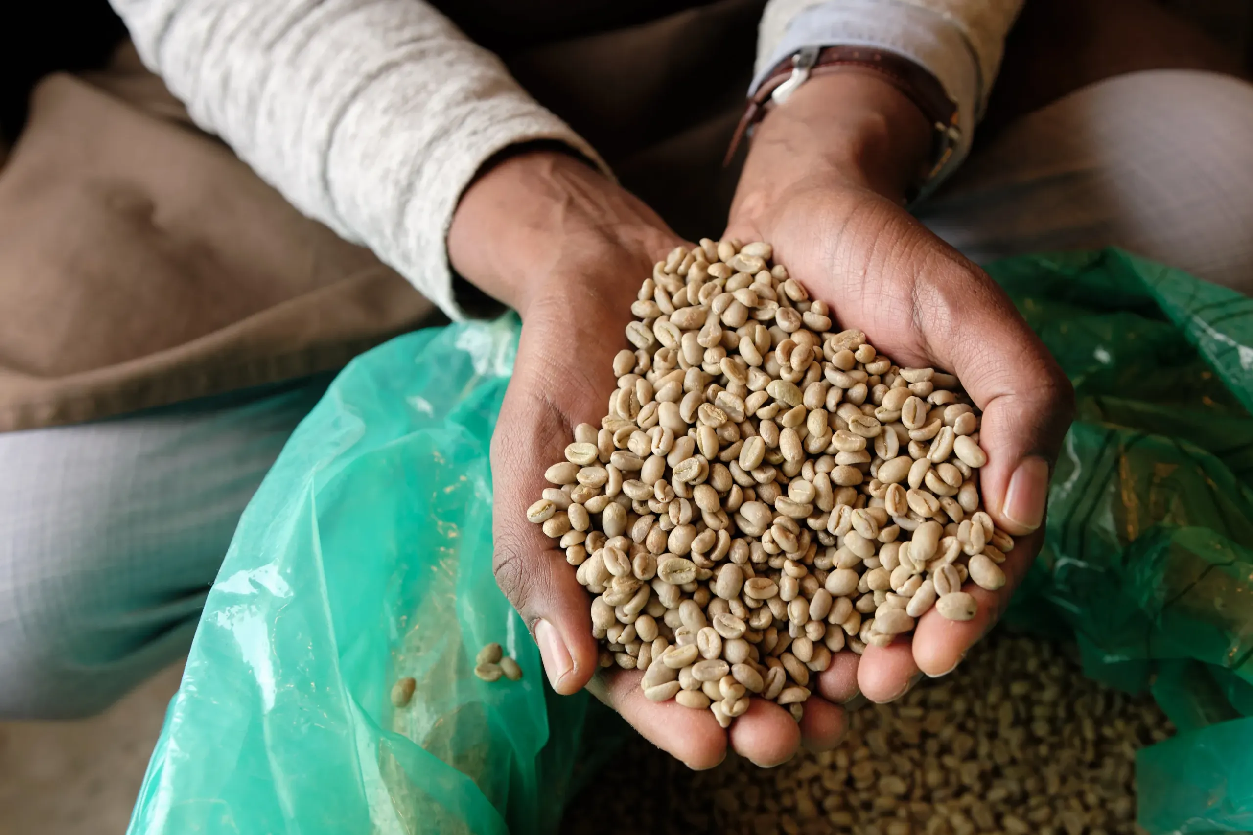 fresh-coffee-beans-sourced-from-ethiopia-2026-01-08-23-38-47-utc